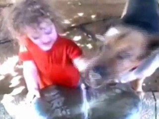 El perro que no dejaba beber de una fuente a un niño