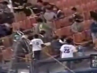 Un gato interrumpe un partido de Béisbol en Japón