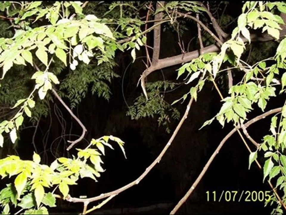 alien.bigfoot.?traces étranges? .2005