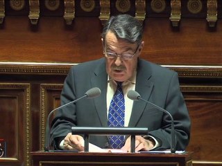 [En séance] La modification du Règlement du Sénat