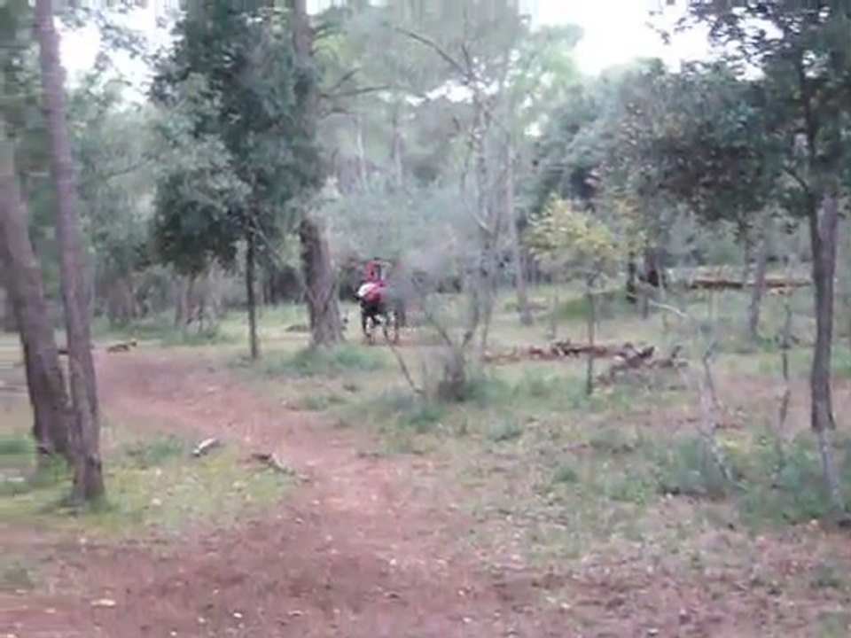 CCE LA LOUB DEC 2011 -4-