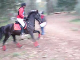 CCE LA LOUB DEC 2011 -5-