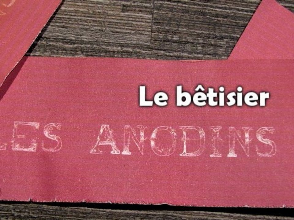Bêtisier Les Anodins à la Salamandre