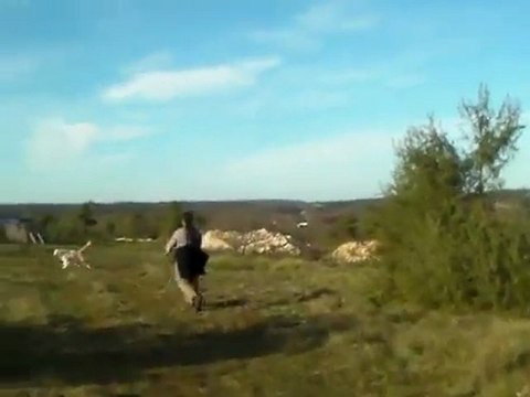 Recherche Utilitaire Piste N1_P1, milieu rural et semi urbain.