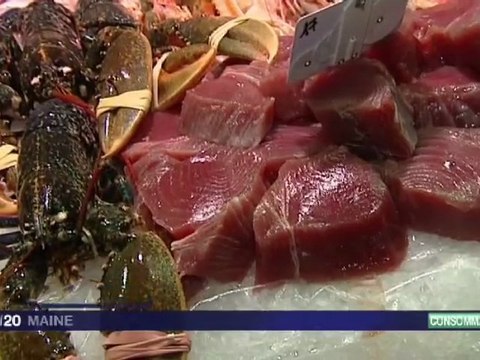 APPROVISIONNEMENT CRUSTACES ET POISSONS POUR NOEL