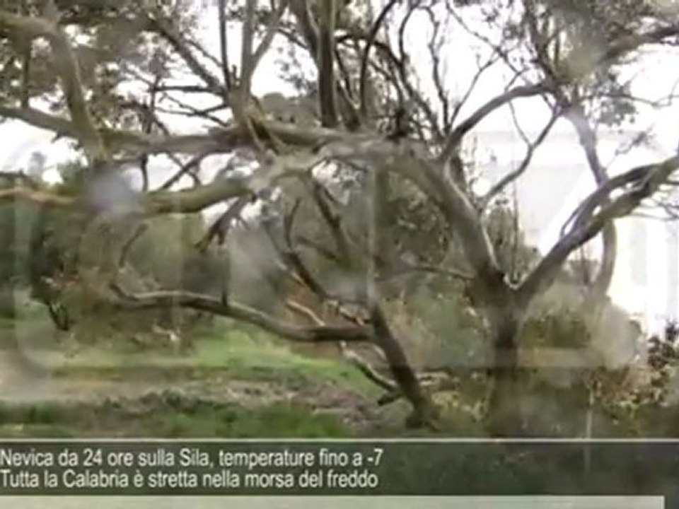 CN24 | 180secondi del 22 DICEMBRE 2011