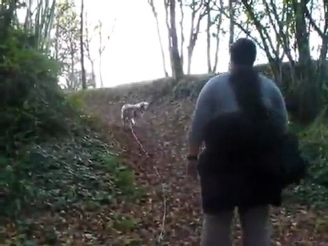 Recherche Utilitaire Piste N1_P3, milieu rural et semi urbain.