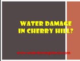 Cherry Hill NJ Water Damage Company