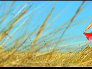 SUD SOUND SYSTEM -  Lu Profumu tou