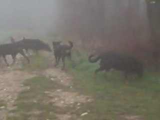 BALADE EN FAMILLE AVEC BEAUCERON 2