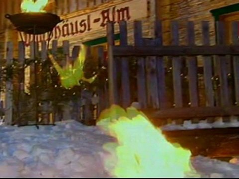 Helene Fischer und Nickp; ein stern der deinen nahmen trägt