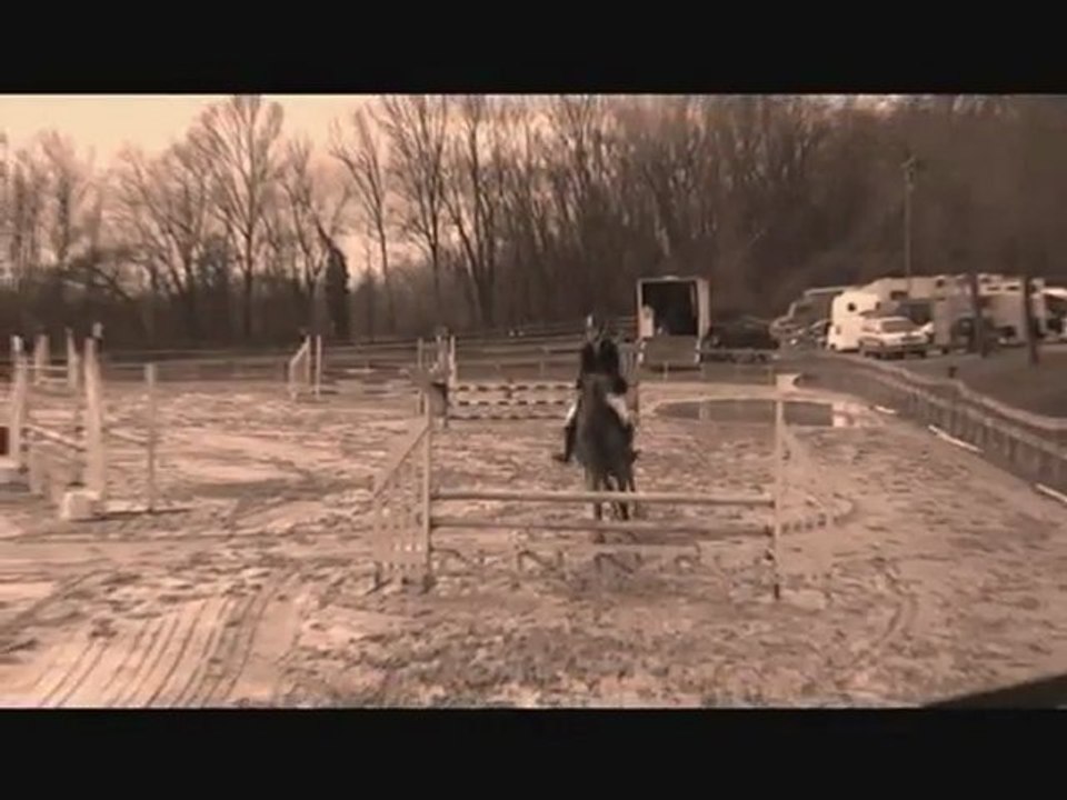 Horses-dreamiing