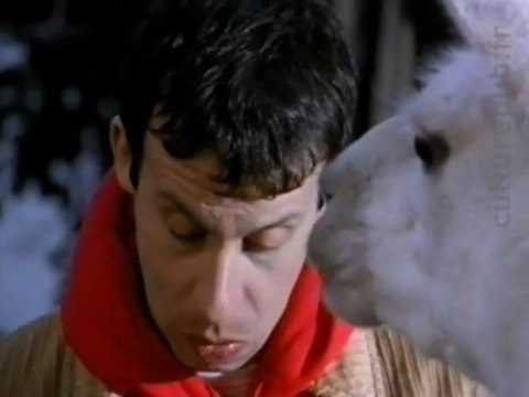 Spitting on the bystanders: animal game