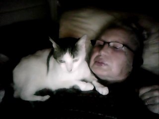 Mon film MON CHAT ME FAIT ENCORE PLUS DE BISOUS-OK