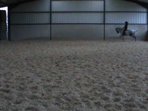 M2U01154 appuyer au trot puis allongement