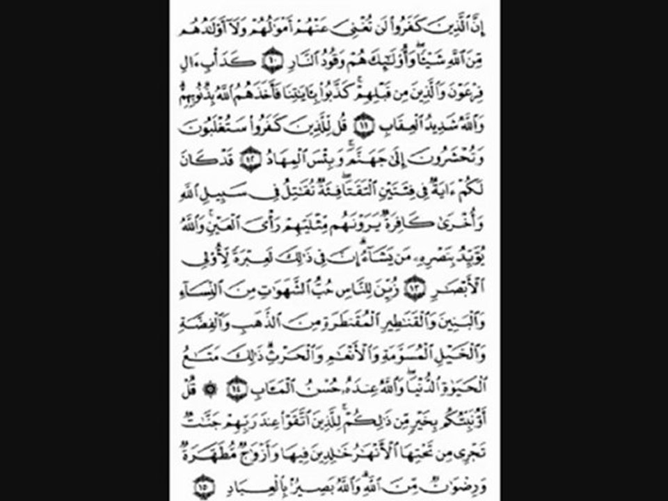 قرئة محمد حبش