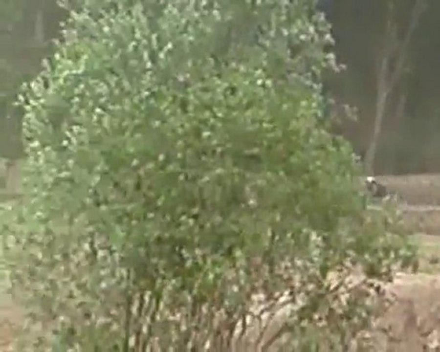 Mouzeil Quad (13/06/2010) (2)