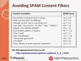 Email Marketing 101 - Avoiding SPAM Filters