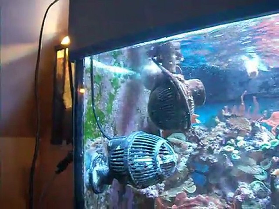 DSCF5598