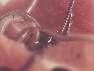 The Electric DJ Vadim Pugs Atomz Sabira Jade - Simple As Easy