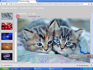 Picasa ile web albüm(resim galerisi) oluşturma