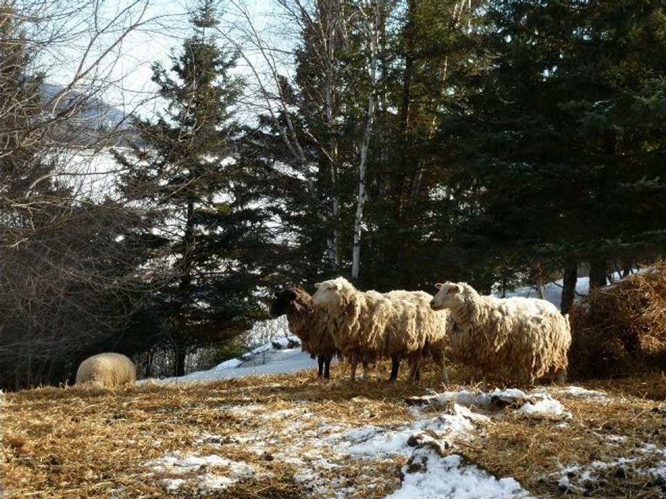 Au coeur de Charlevoix