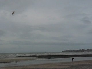 cerf-volant Granville