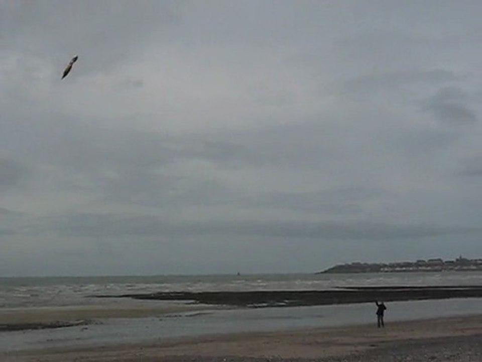 cerf-volant Granville