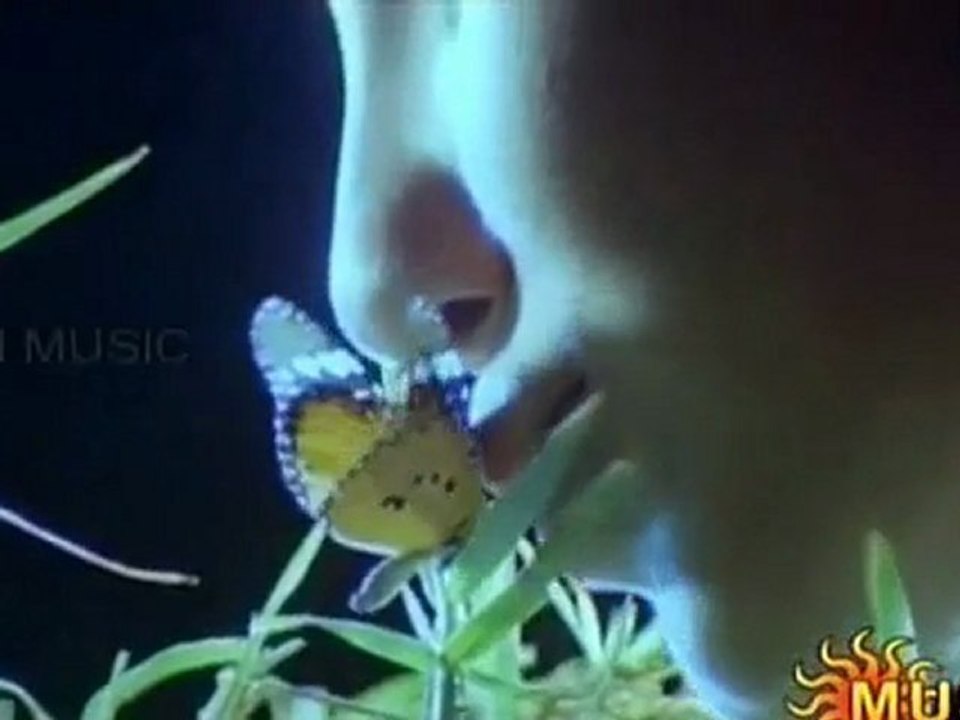 Meera-Oh Butterfly
