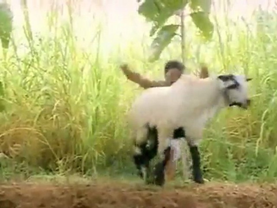Singaravelan-Sonnapadi Kelu