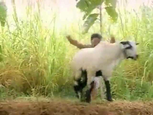 Singaravelan-Sonnapadi Kelu