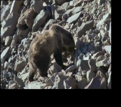 Apoxeno Meros Greek Song - This video dedicated My Beloved friend nomangodoytokay XinjiangNoExists