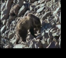 Apoxeno Meros Greek Song  - This video dedicated My Beloved friend     nomangodoytokay      XinjiangNoExists