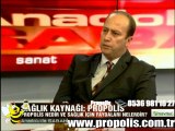 Propolis Türkiye Bitkivital Gen.Müd. Nurcan Aksoy Tv Reportaj 4