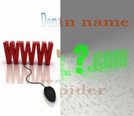 Domain Name Registration Service
