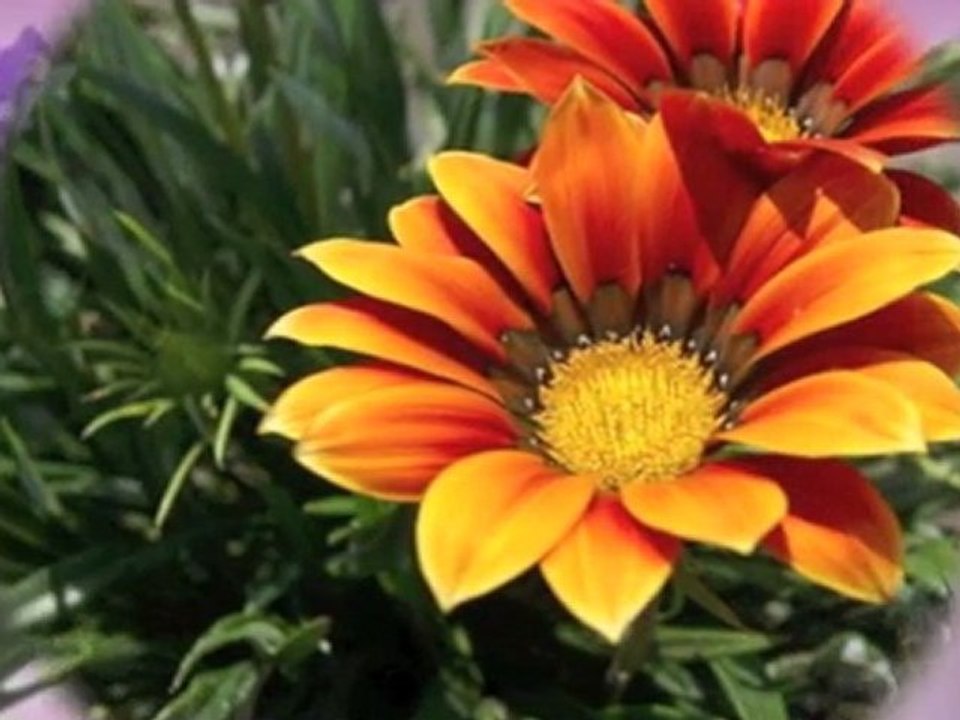 Dediler zamanla hep azalırmış sevgiler