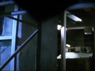 La Follia è come la Gravità, basta solo una piccola spinta....