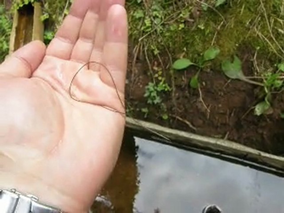 un micro-serpent dans la main