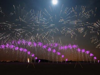 Firework French Cancan