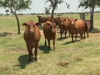 2_GIRA ESTADOS UNIDOS 2 Diciembre 24 de 2011