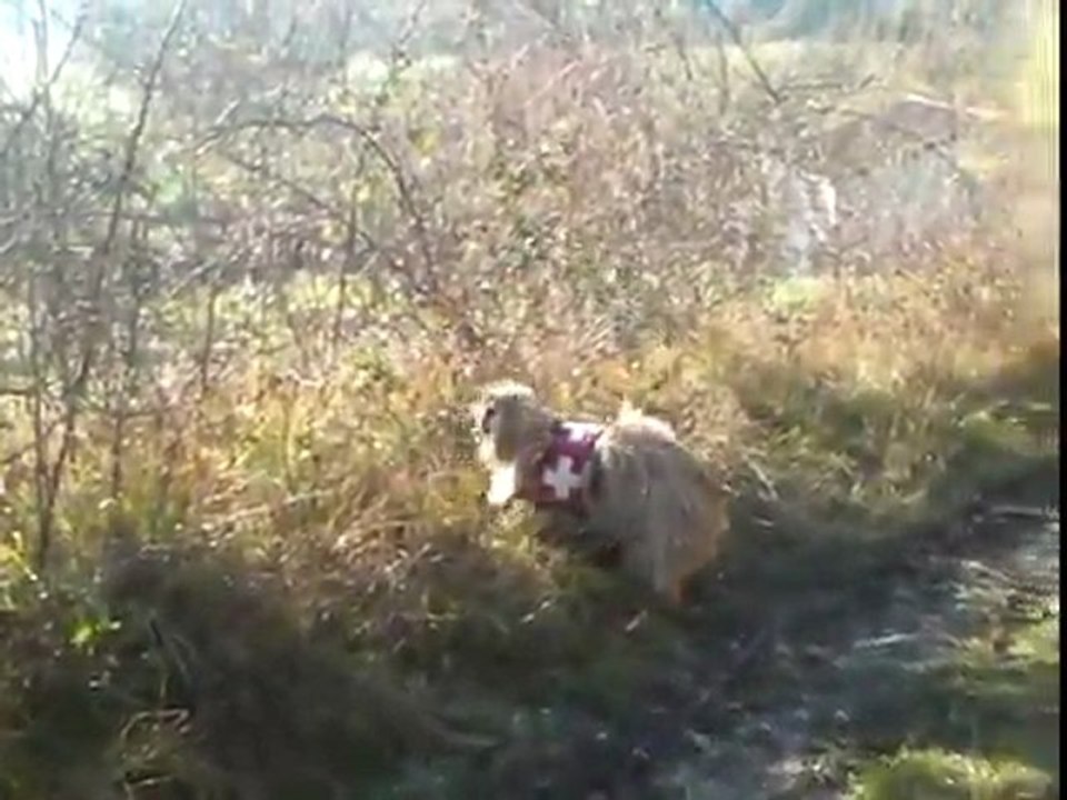 Recherche Utilitaire "Piste" N3_P1