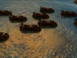 Naval Warfare (PC) - Trailer #1