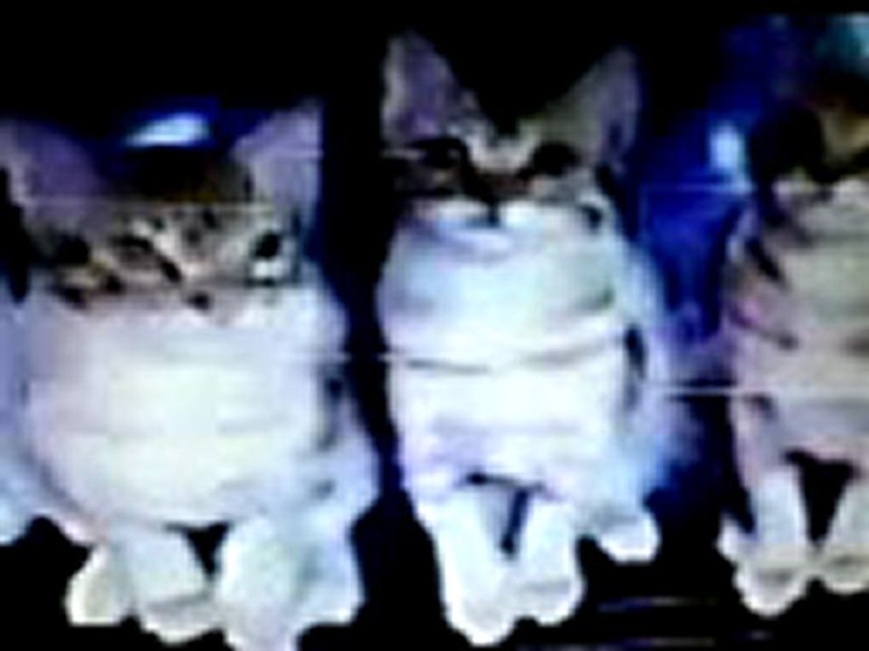 BATIKENT EVDEN EVE NAKLİYAT, 0312 226 23 78ERYAMANDA NAKLİYE