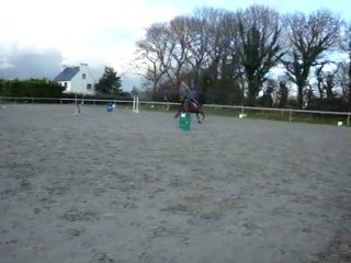 Lapin duracel main gauche