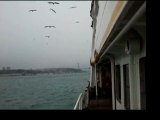 Üsküdar-Eminönü vapurunda rüzgar ve martılarla yolculuk