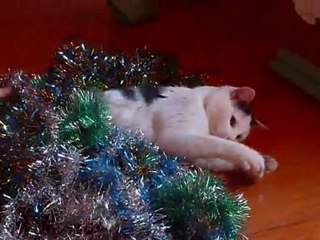 Les animaux font le sapin (Noël 2011)