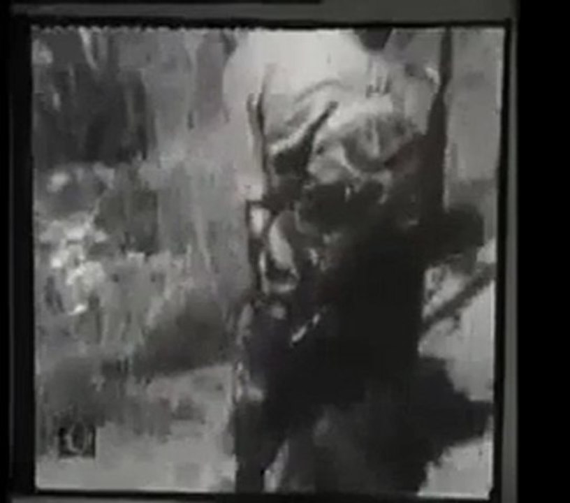 Cezayirde fransiz soykirimi