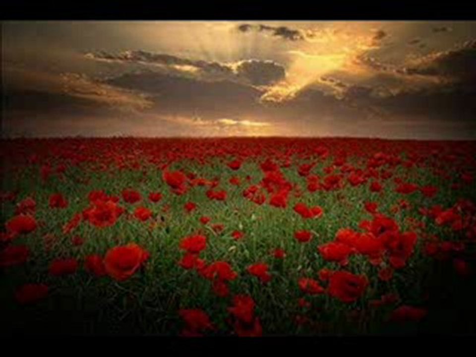 Hümeyra - mevsimsiz çiçekler