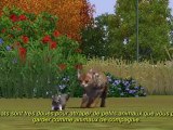 Les Sims 3 : Animaux & Cie (PC) - Making-of