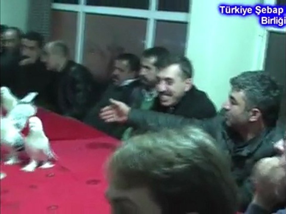 Trakya /Çorlu Şebap Güvercin Festivali Öncesi Akşam Sohbeti 2